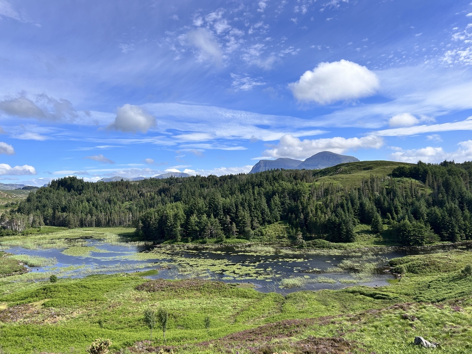 Scenic view of wetland with mountains in the background