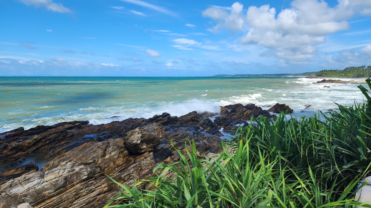 Rocky coastline with waves crashing and lush green plants.