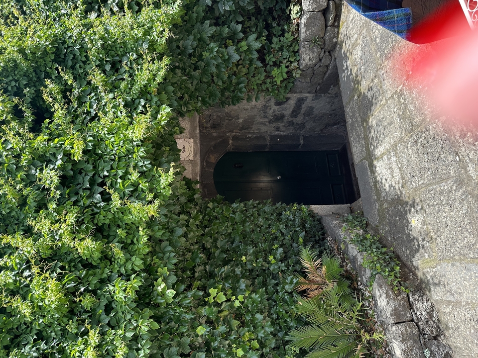 Dark entrance surrounded by lush greenery.