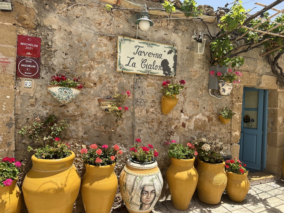 Rustic wall with flower pots and a tavern sign.