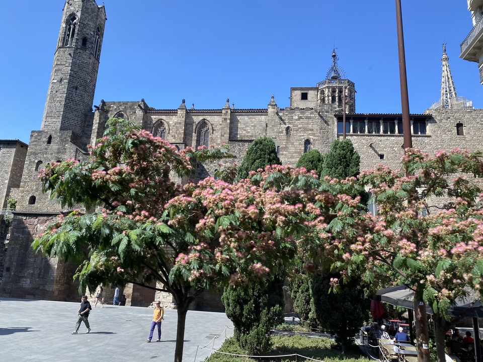 A historic building facade with flowering trees.