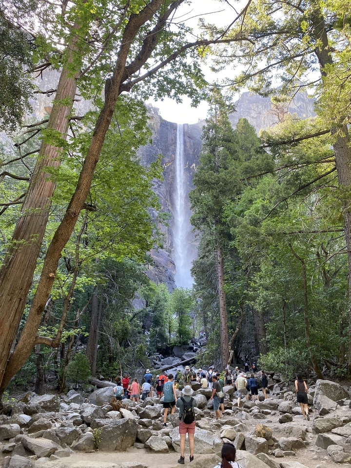 Une grande cascade vue à travers une forêt dense.