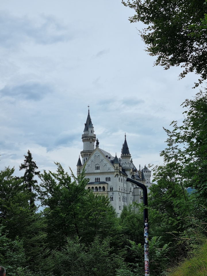 Un château avec plusieurs tours, partiellement masqué par les arbres.