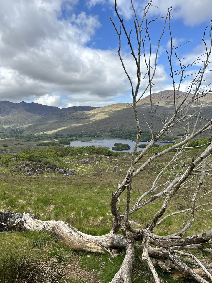 Une vue panoramique d'un petit lac ou étang entouré de collines.