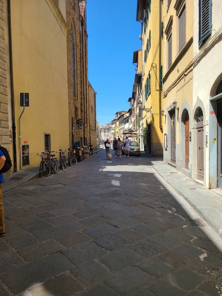 Group of people walking down an old European street.