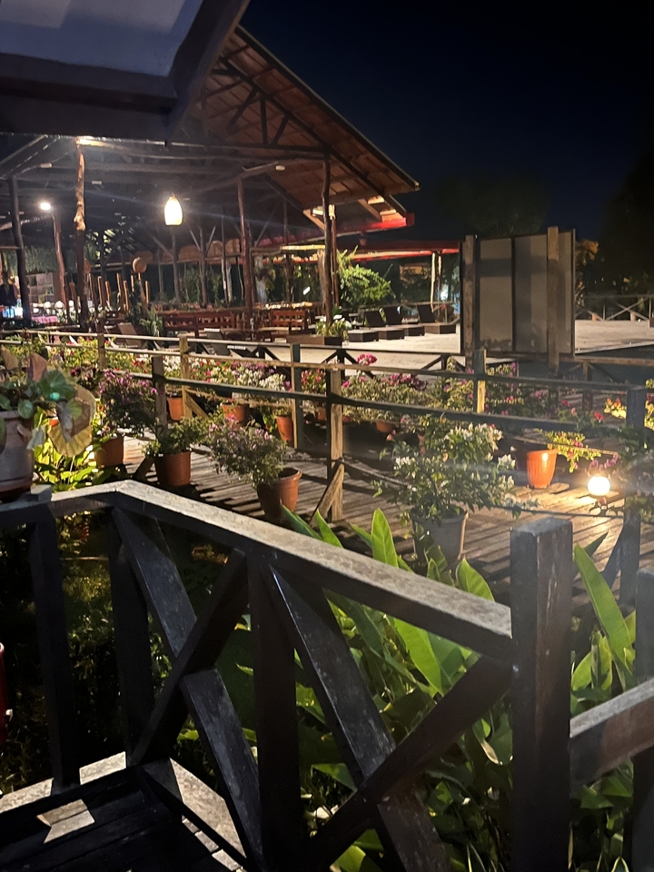 Un chemin en bois entouré de plantes en pot la nuit.