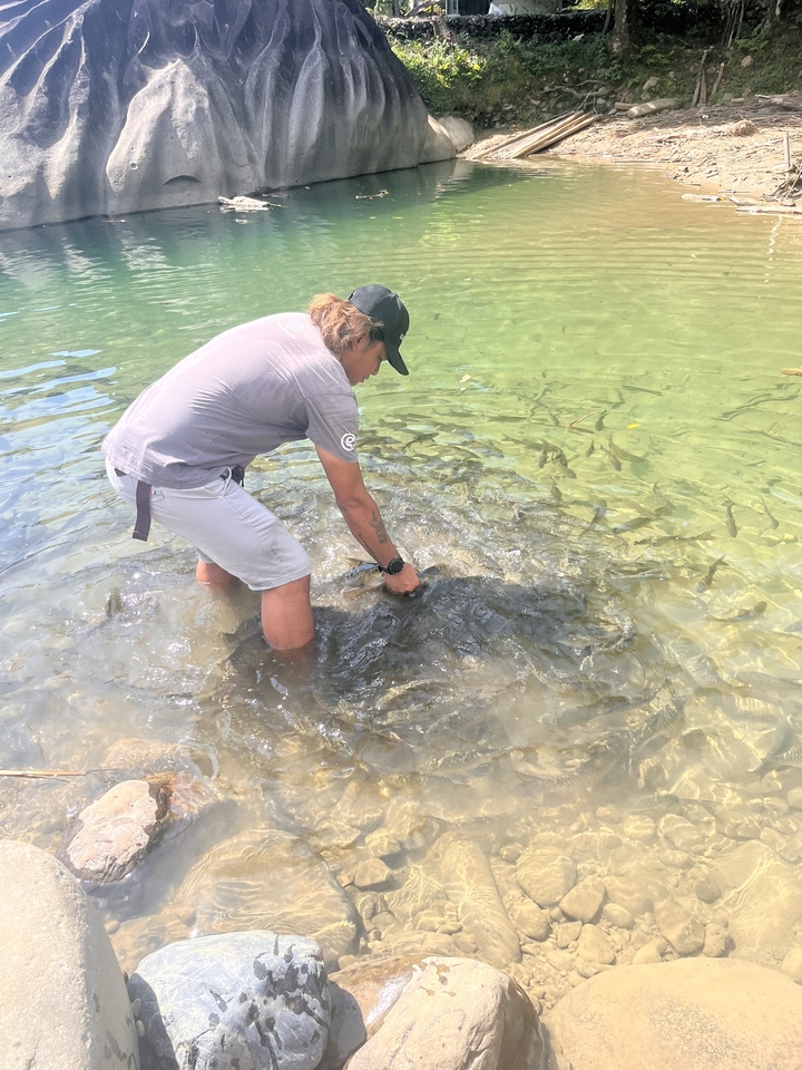 Personne debout dans un ruisseau peu profond entourée de poissons.