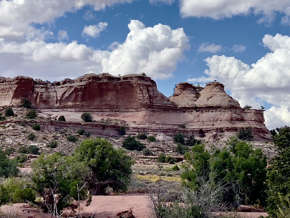 Un paysage accidenté avec des formations rocheuses et des arbustes.