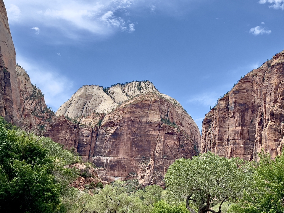 Vue de canyon immense avec d'imposantes parois rocheuses et de la verdure.