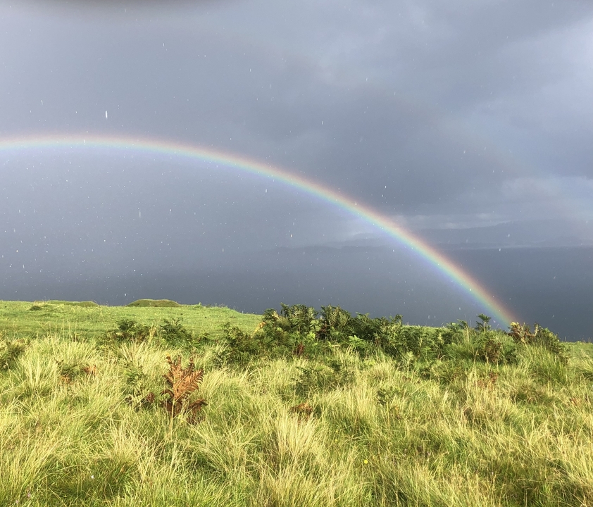 Colorful rainbow over a grassy landscape with light rain.