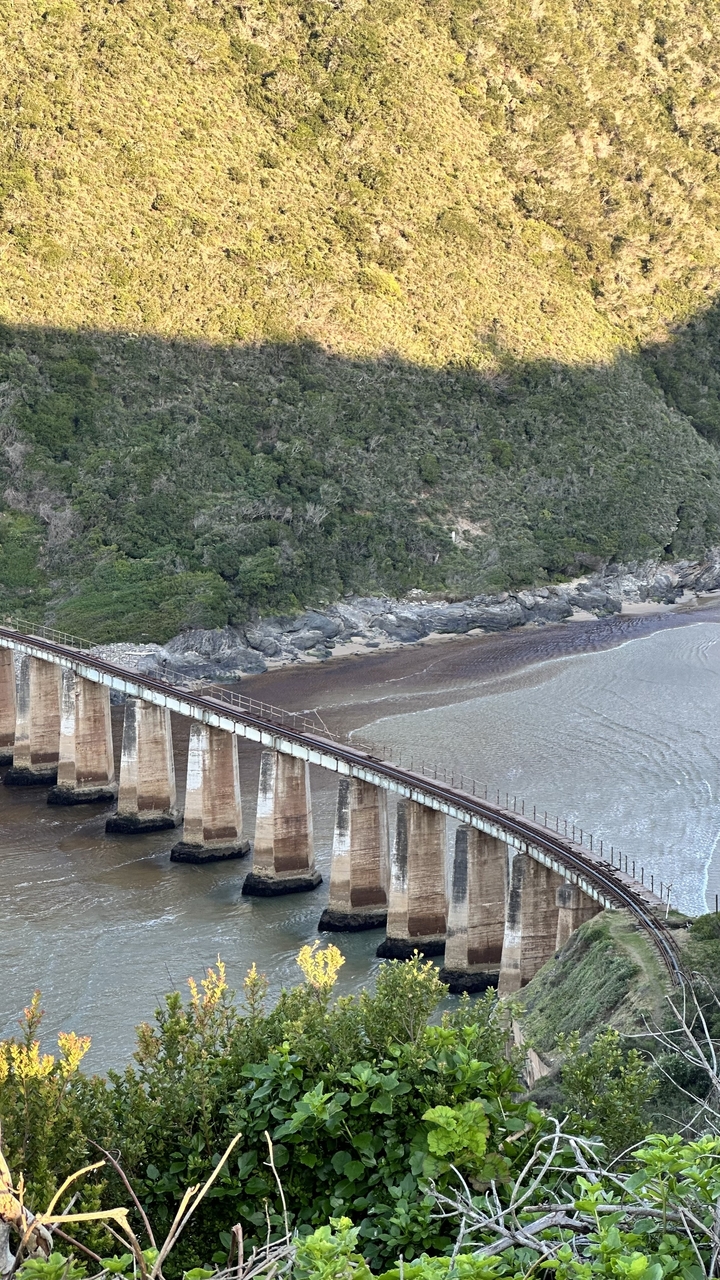 A railway bridge over a body of water with lush greenery.