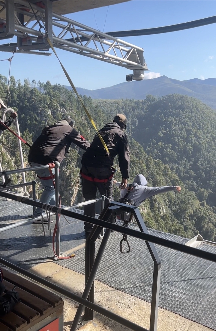 Bungee jumpers taking off from a platform over a forest.
