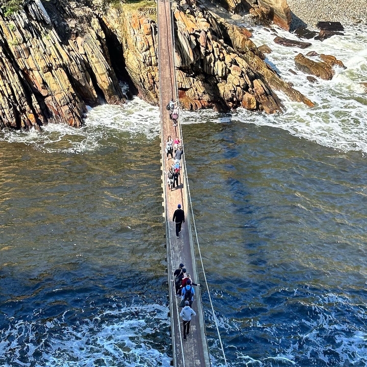 People walking on a suspension bridge over the ocean.