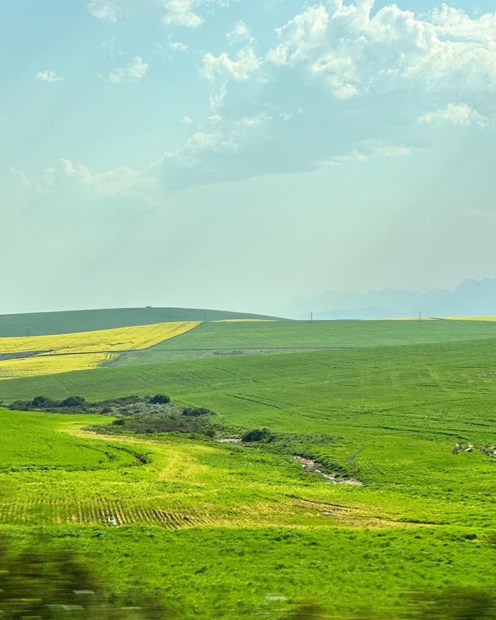 Expansive grassy fields with distant mountains.