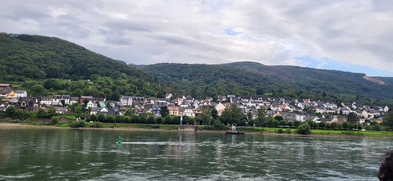 Riverside view of a quaint town with hills.