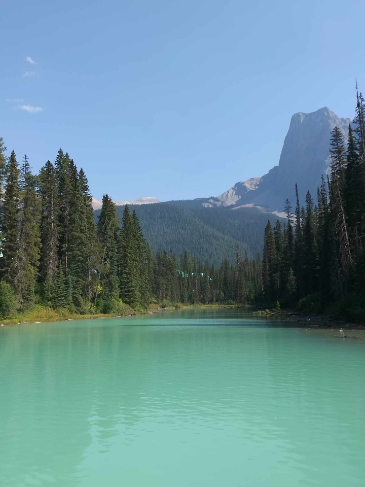 Rivière tranquille avec montagnes et forêt dense