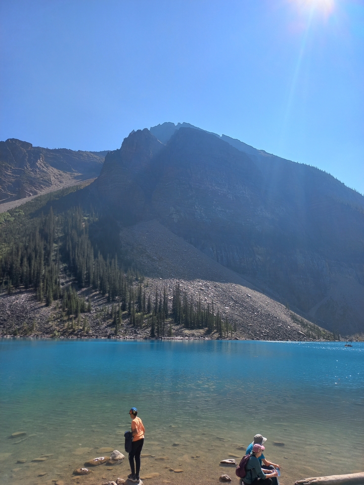 "Visage de montagne rocheuse avec des arbres"

Or more naturally: "Paroi rocheuse de montagne avec des arbres"