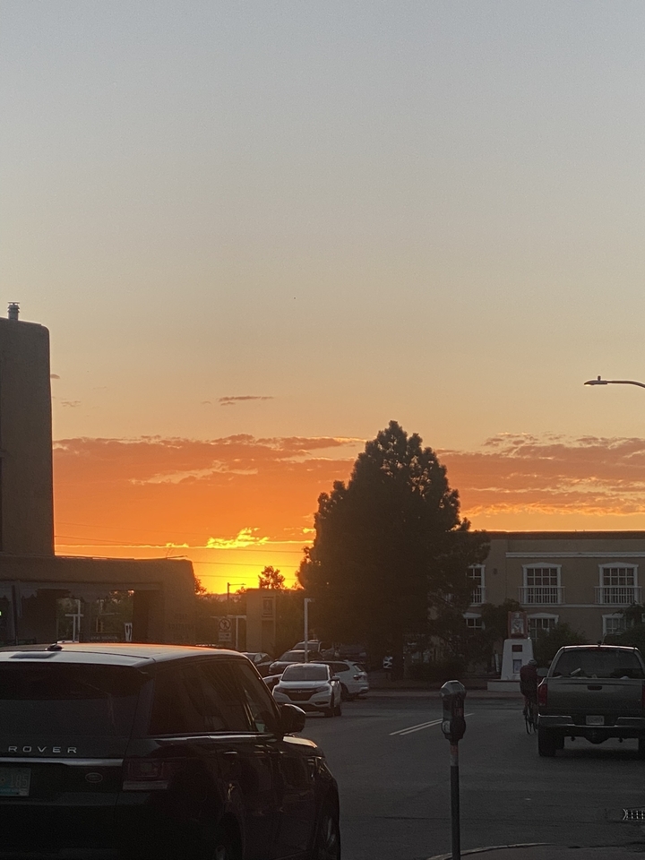 Magnifique coucher de soleil sur une silhouette d'arbres.