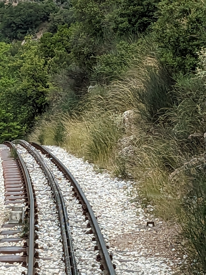 Railway tracks bordered by grass.