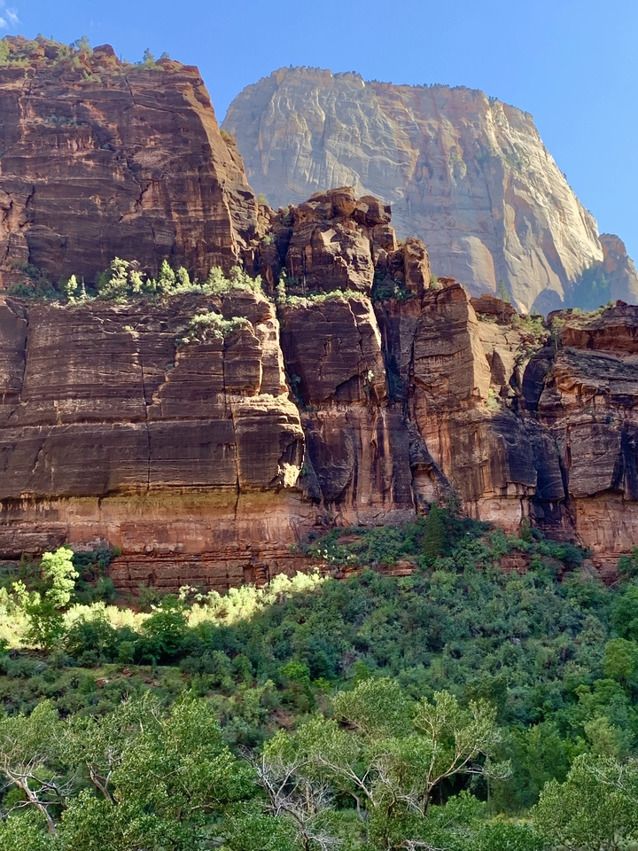 Falaises rocheuses avec des arbres verts à la base dans un canyon.