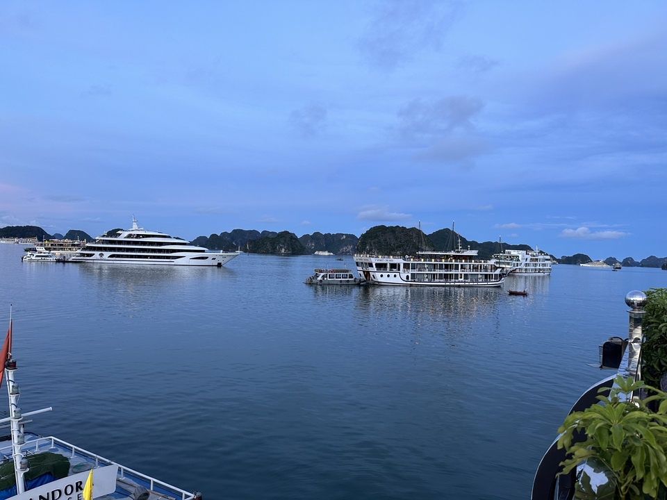Plusieurs navires de croisière et bateaux sur une étendue d'eau calme avec des falaises calcaires en arrière-plan.