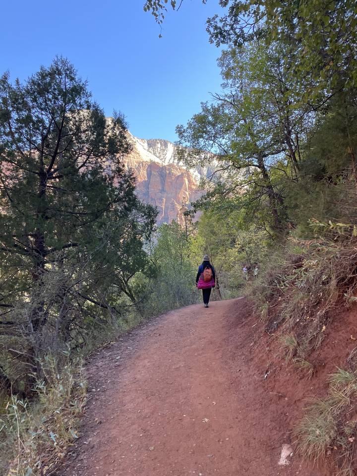 A person on a hiking trail with trees and cliffs.
