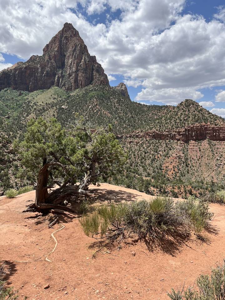 Rugged terrain with a large mountain in the background.