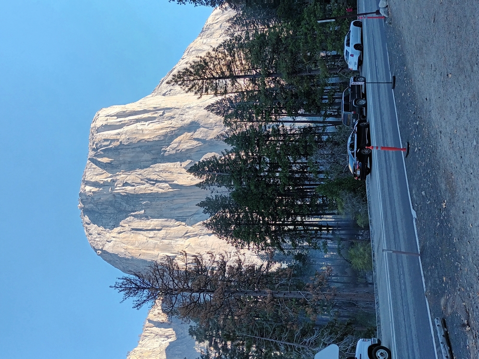 I notice the text you've provided is already in English, but you've asked me to translate "from en to fr" (English to French). Here's the French translation:

El Capitan, une formation granitique remarquable, avec des arbres bordant le premier plan.