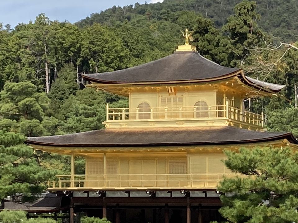 Kinkaku-ji, Golden Pavilion in a forested area.