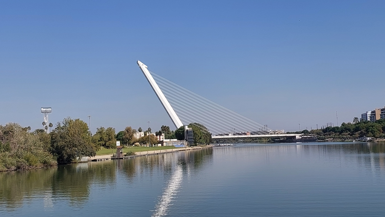 Modern cable-stayed bridge over a river.