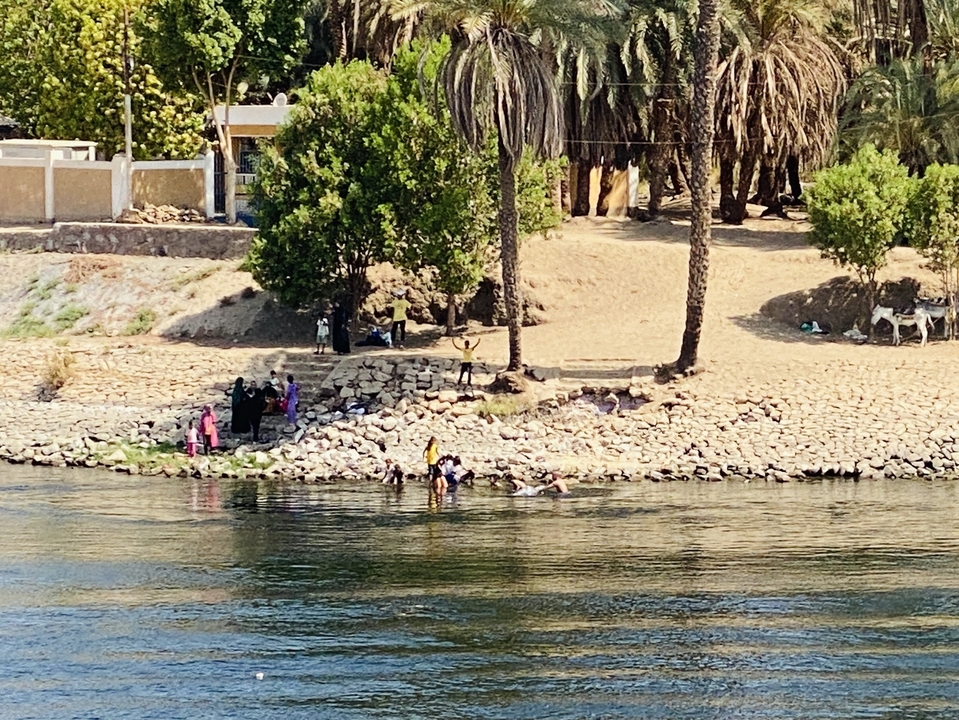 People gathering by a riverbank with palm trees.