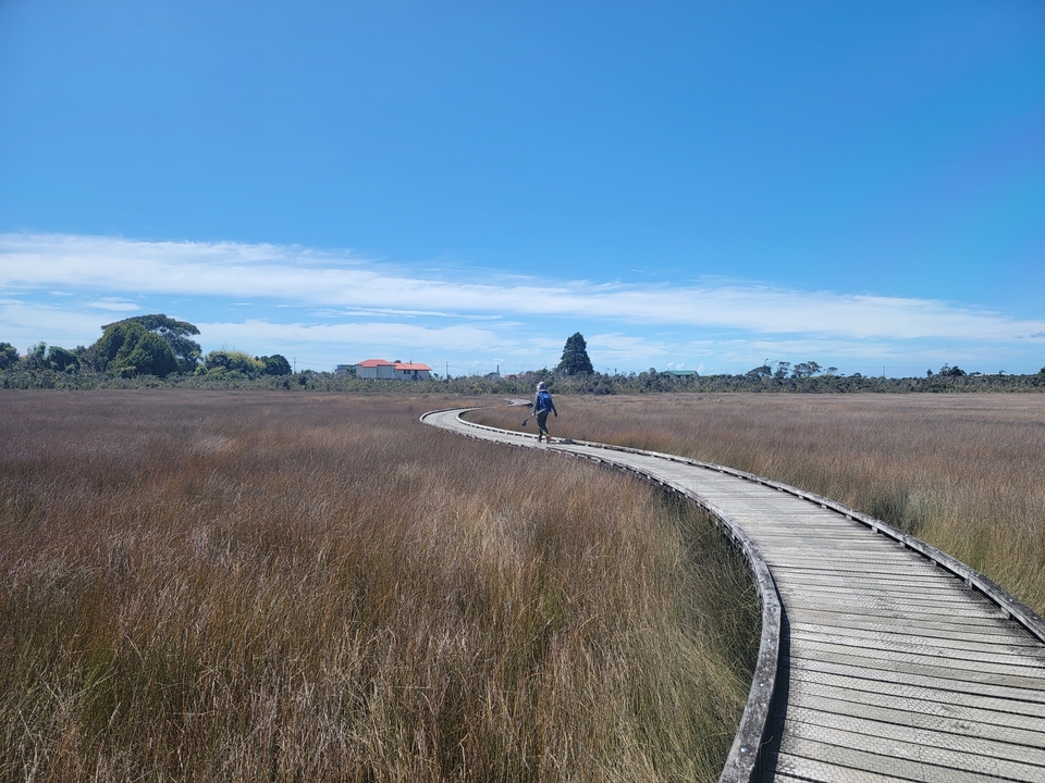 Une personne marchant sur une promenade en planches à travers un champ.