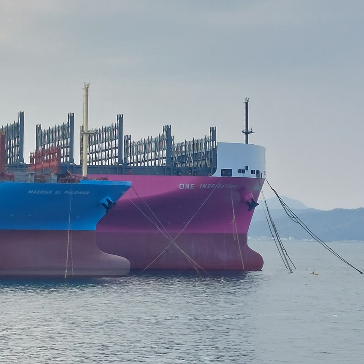 Two cargo ships docked at a port.