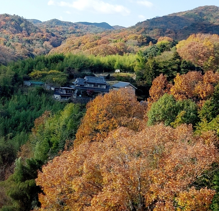 House surrounded by autumn foliage on a hill.