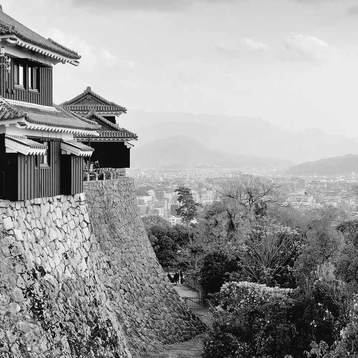 Black and white image of a castle on a hill overlooking a city.