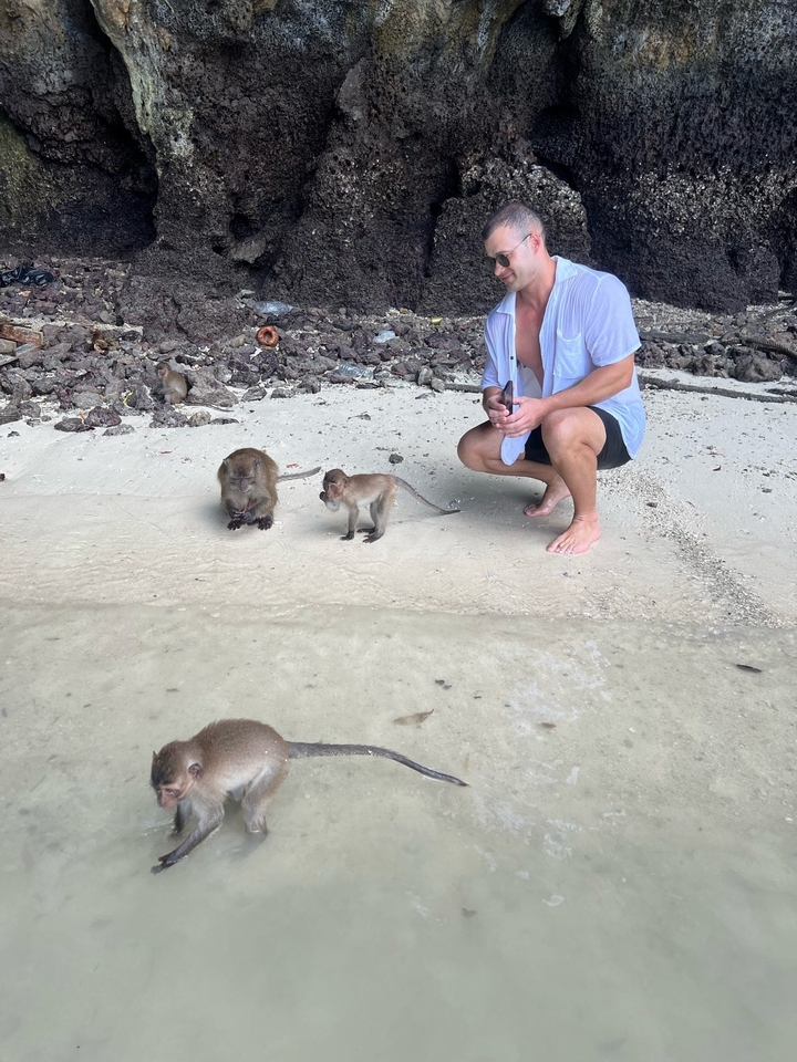 Person crouching near monkeys on a beach.