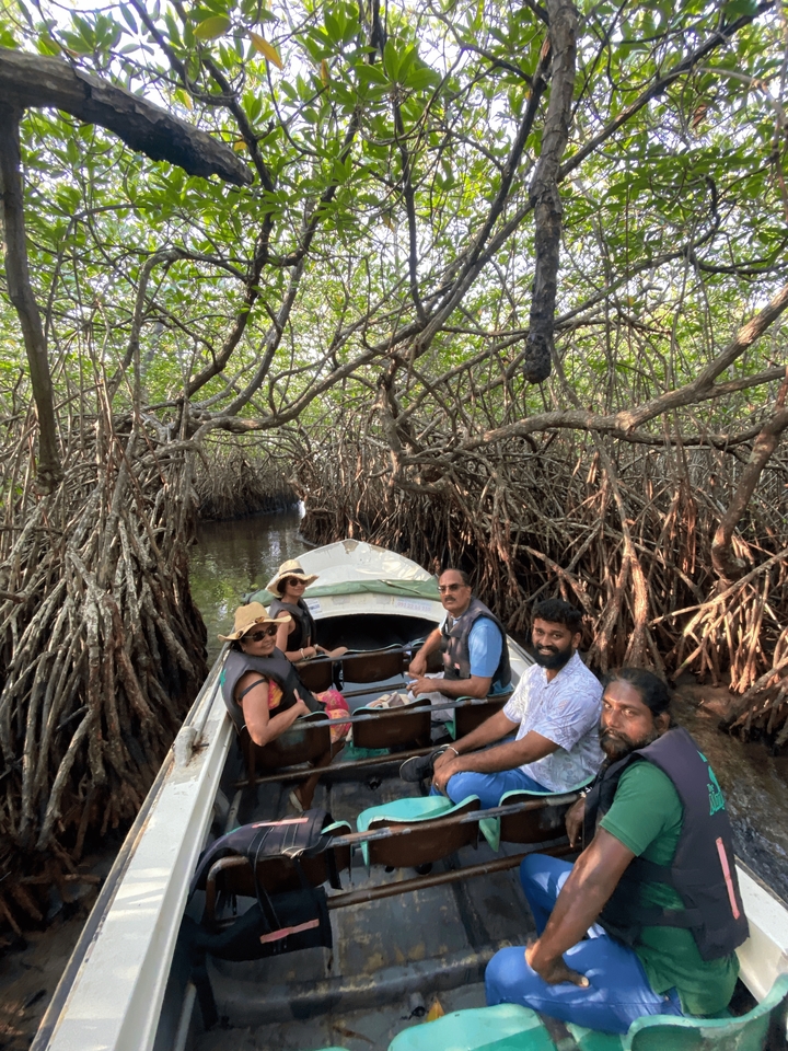 Groupe de personnes dans un bateau naviguant à travers les mangroves.