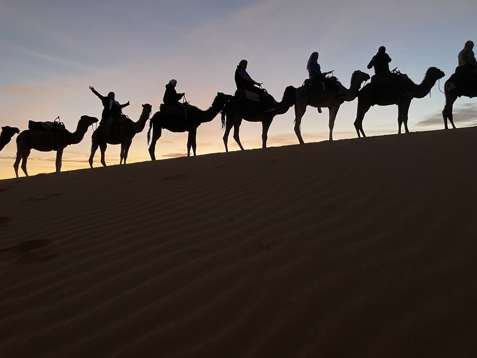 Camel caravan silhouette on a desert dune at sunset.