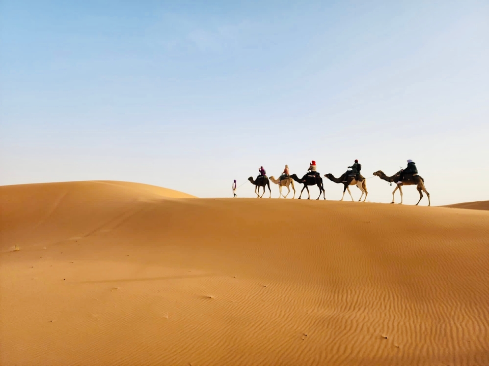 Camel caravan crossing the desert on sand dunes.