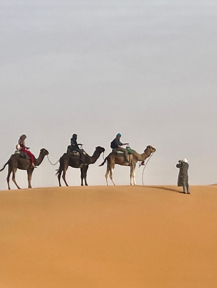 Four people riding camels in the desert