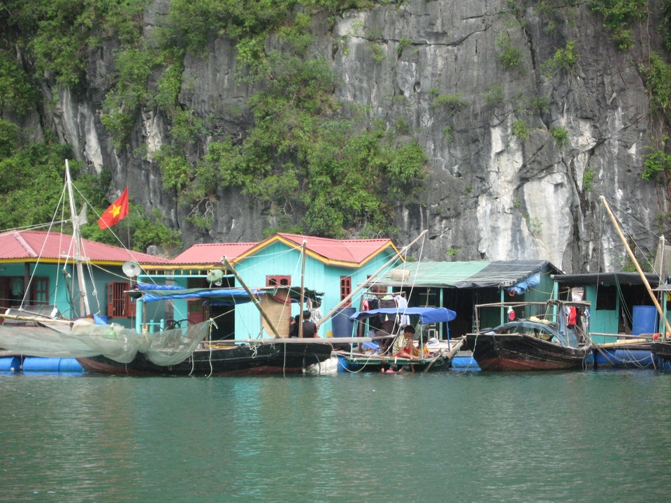 Rustic floating homes with boats in a marine setting.