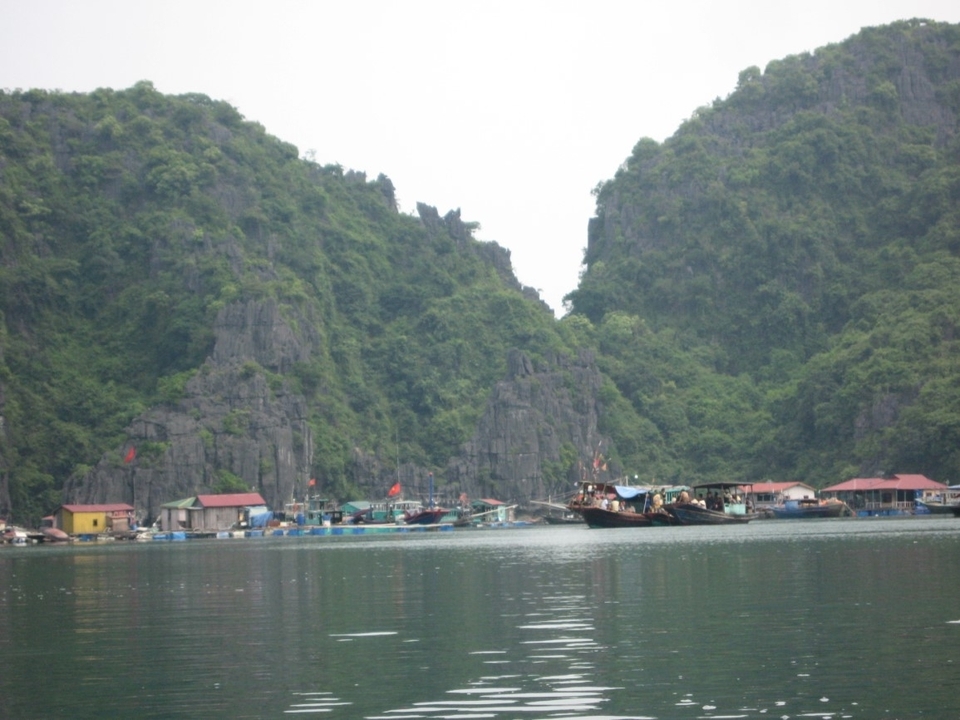 Bateaux et maisons dans une baie pittoresque avec des collines boisées.