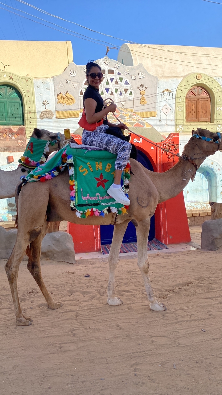 Chameau avec des décorations de selle colorées devant un bâtiment peint.