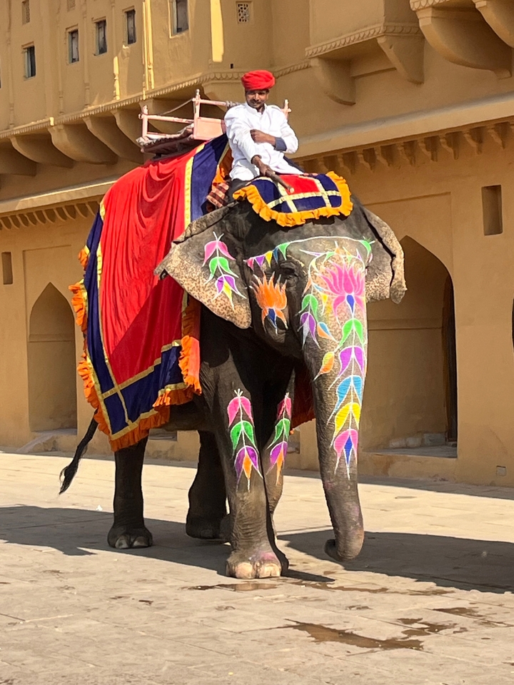 Éléphant décoré en tenue traditionnelle.