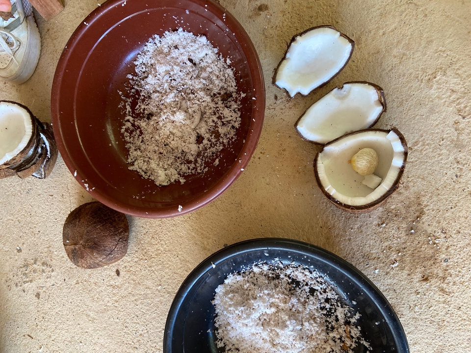 Bols avec de la noix de coco et de la noix de coco râpée sur une table.