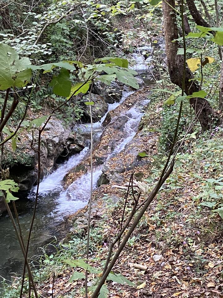 A small waterfall in a dense forest area.