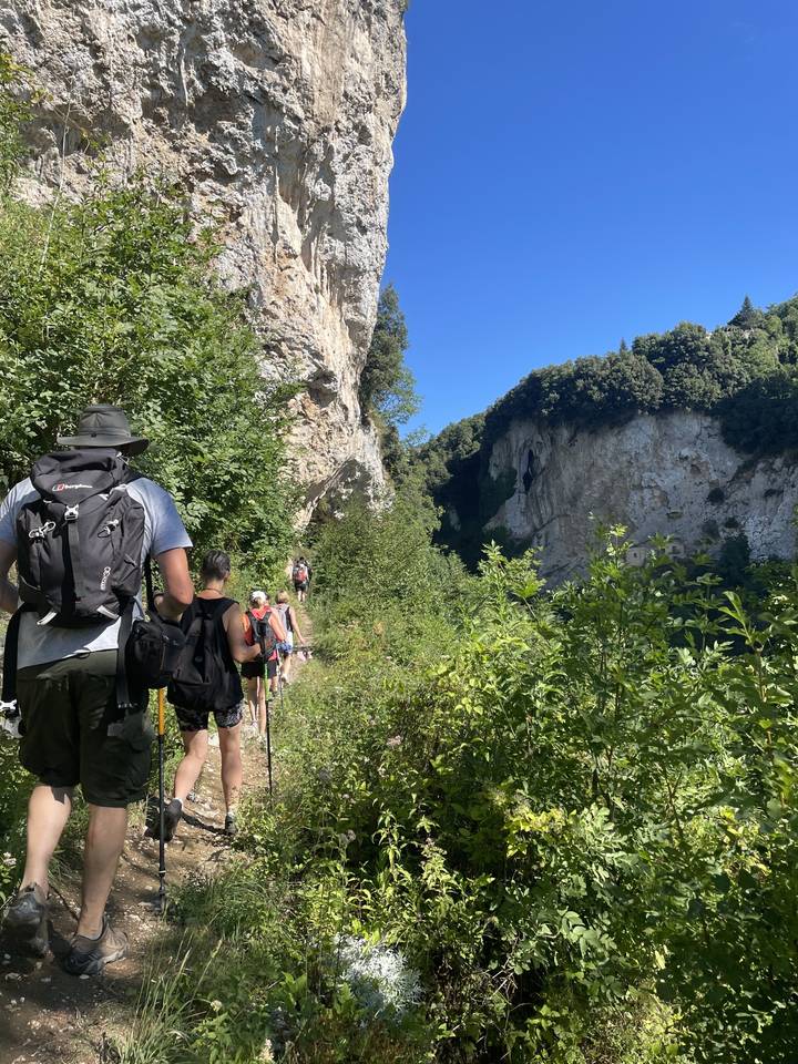 Hikers climbing a steep, green trail.