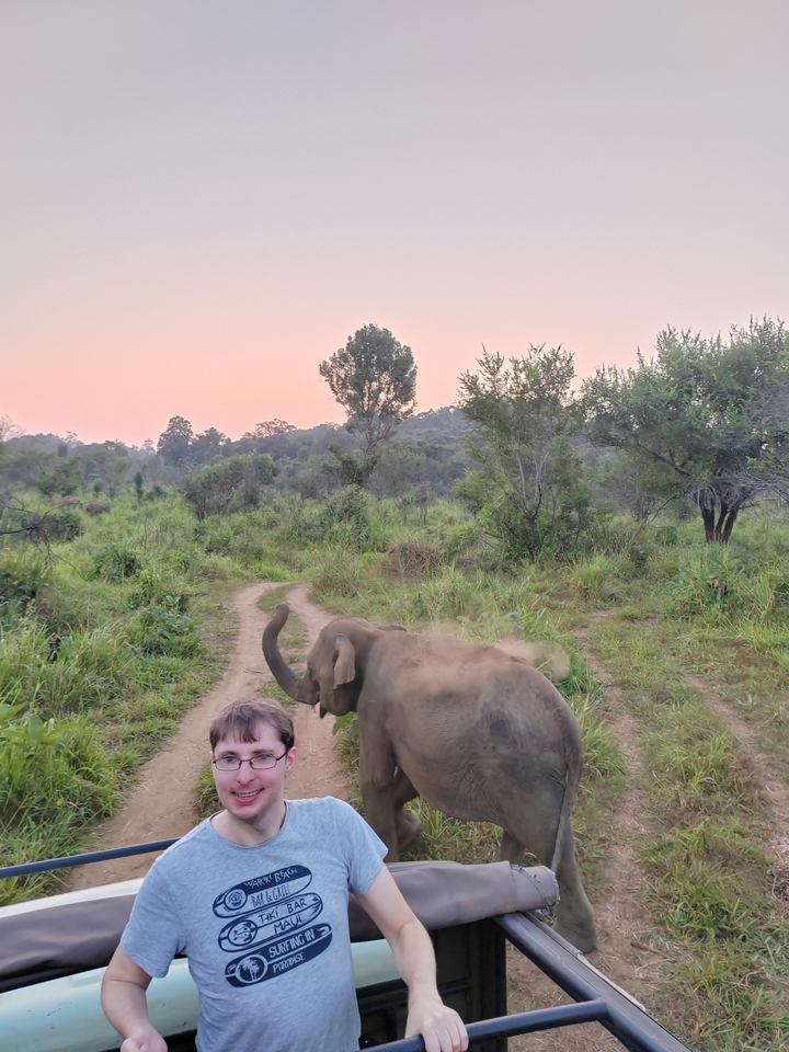 Éléphant marchant sur un sentier de terre avec un coucher de soleil en arrière-plan.