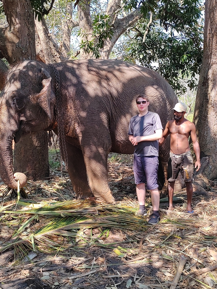 Personne posant avec un éléphant et une autre personne.