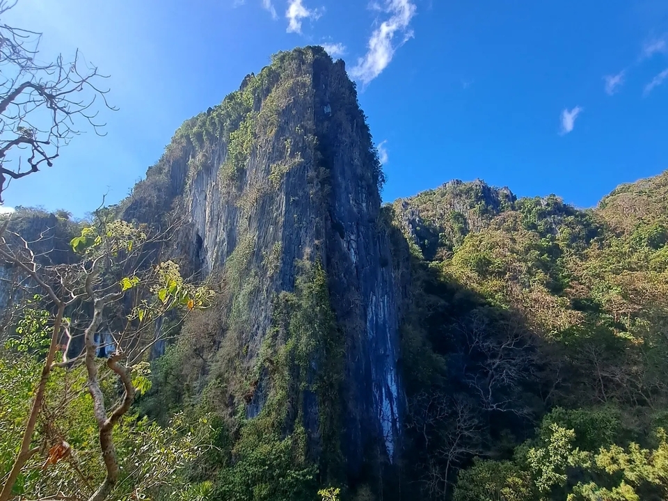 Une haute falaise calcaire couverte de verdure sous un ciel bleu clair.